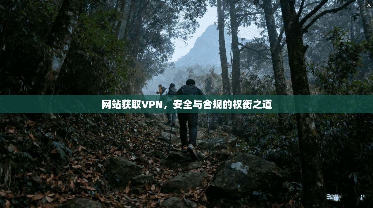 网站获取VPN，安全与合规的权衡之道