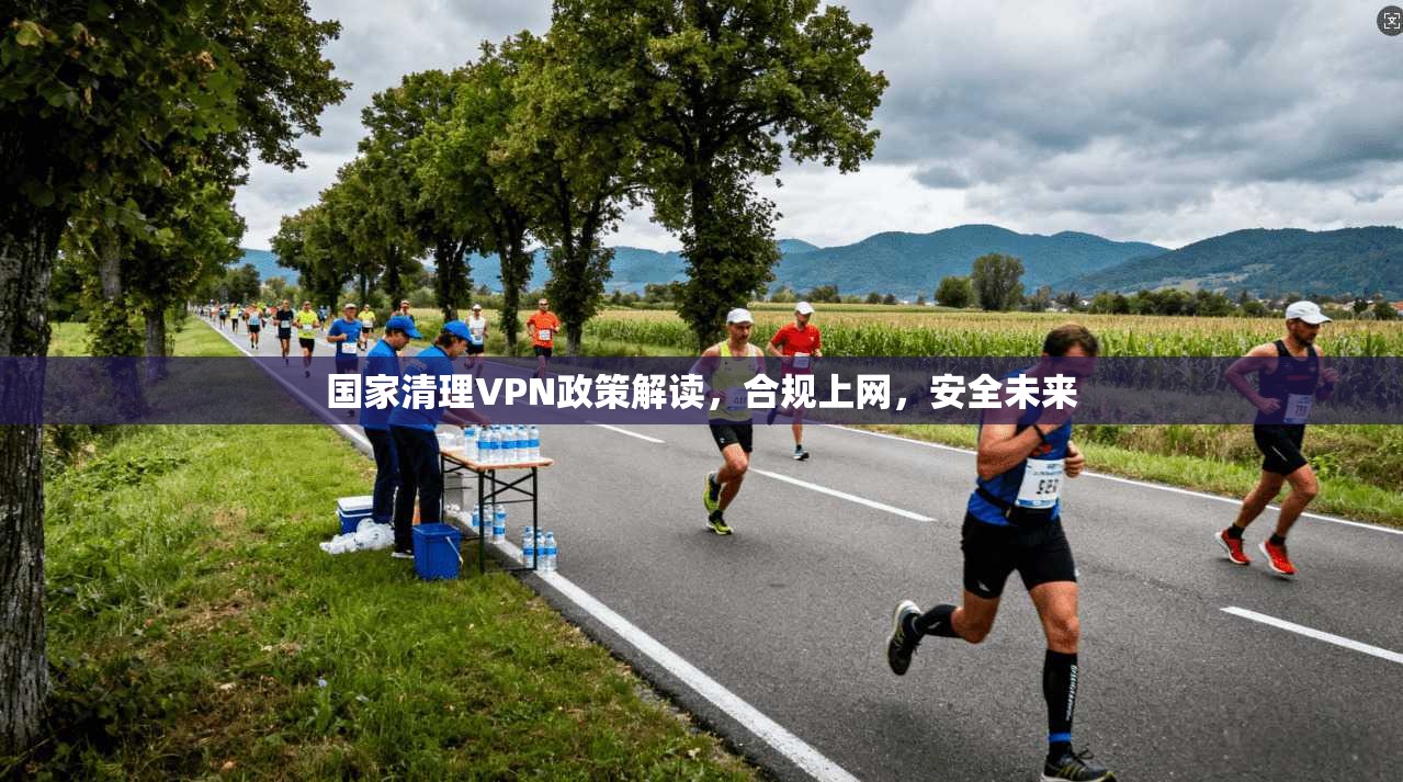 国家清理VPN政策解读，合规上网，安全未来