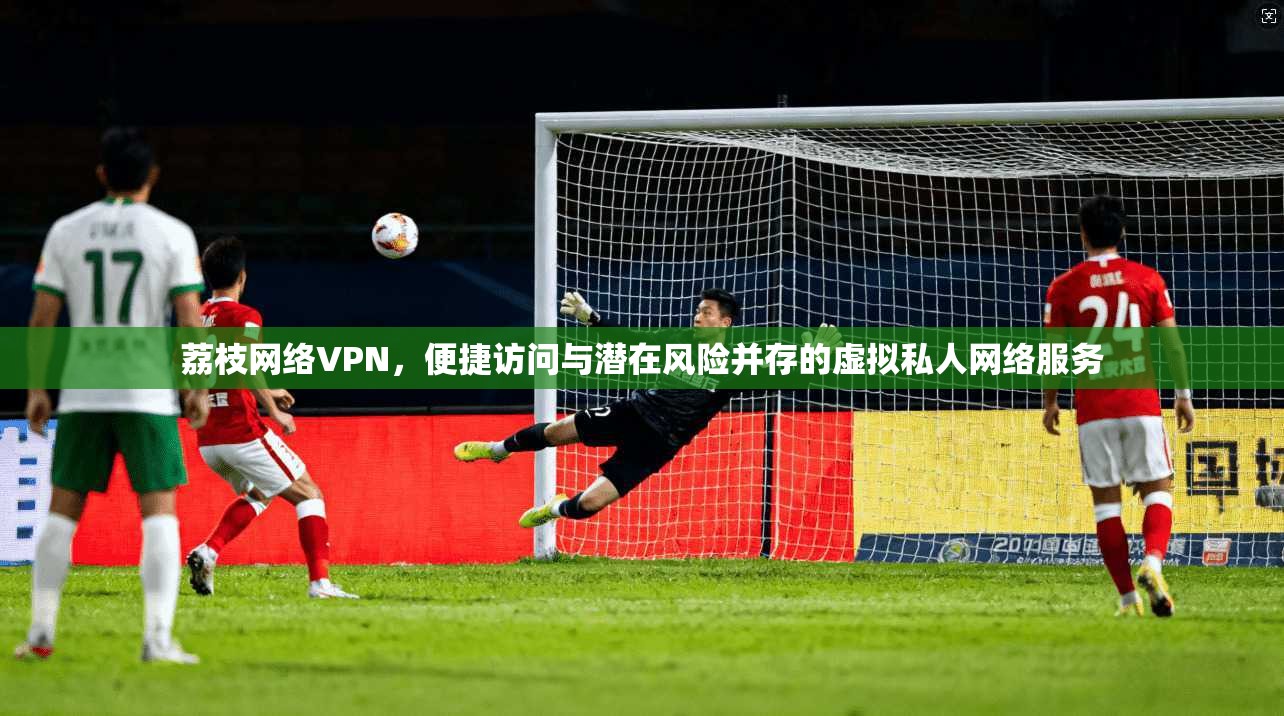 荔枝网络VPN,便捷访问与潜在风险并存的虚拟私人网络服务