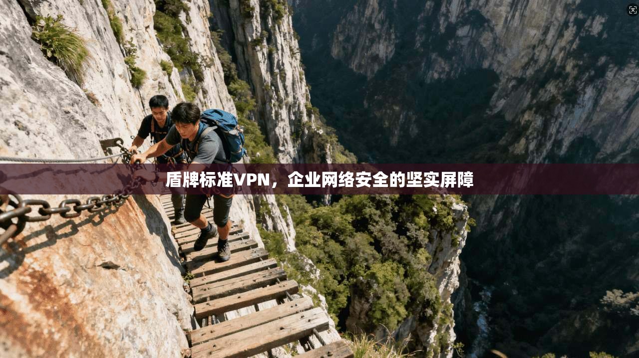 盾牌标准VPN，企业网络安全的坚实屏障