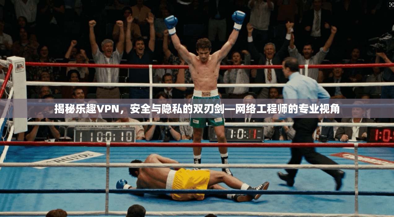 揭秘乐趣VPN,安全与隐私的双刃剑—网络工程师的专业视角