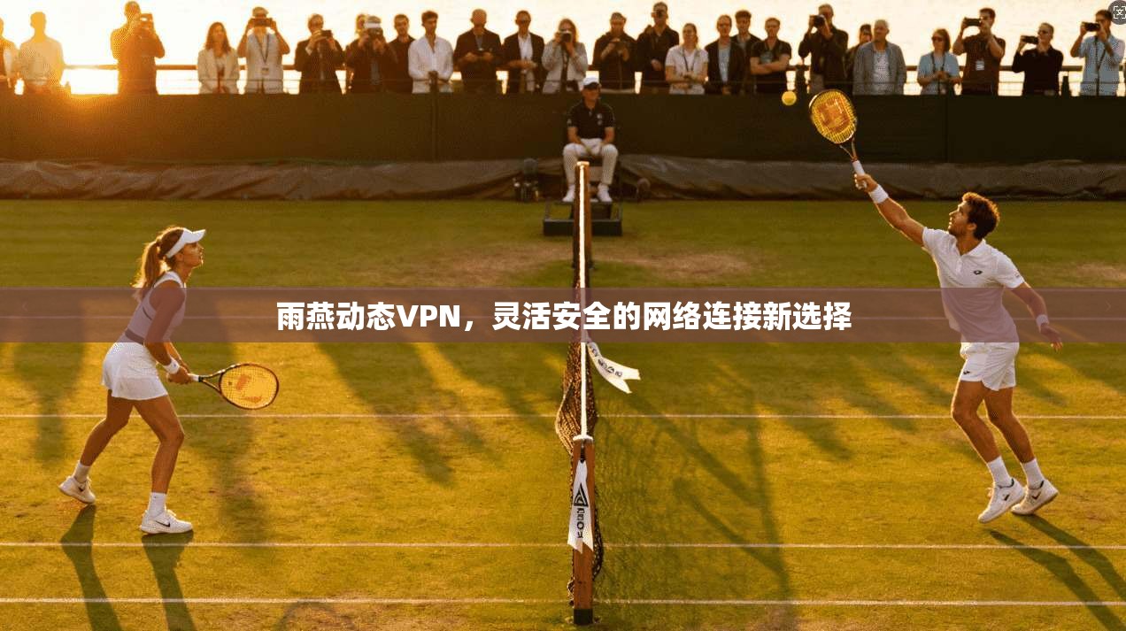 雨燕动态VPN，灵活安全的网络连接新选择