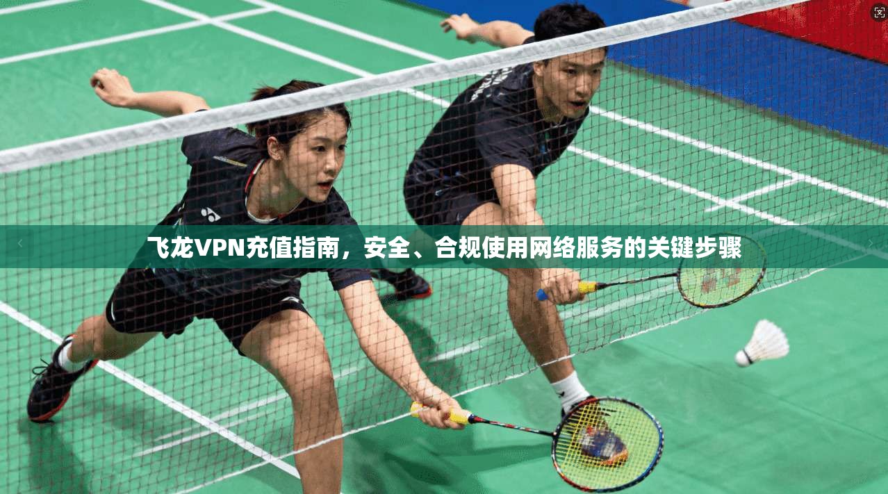 飞龙VPN充值指南，安全、合规使用网络服务的关键步骤