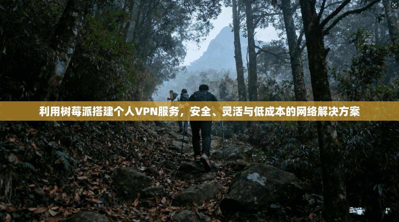 利用树莓派搭建个人VPN服务，安全、灵活与低成本的网络解决方案