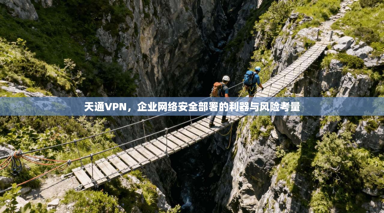 天通VPN，企业网络安全部署的利器与风险考量