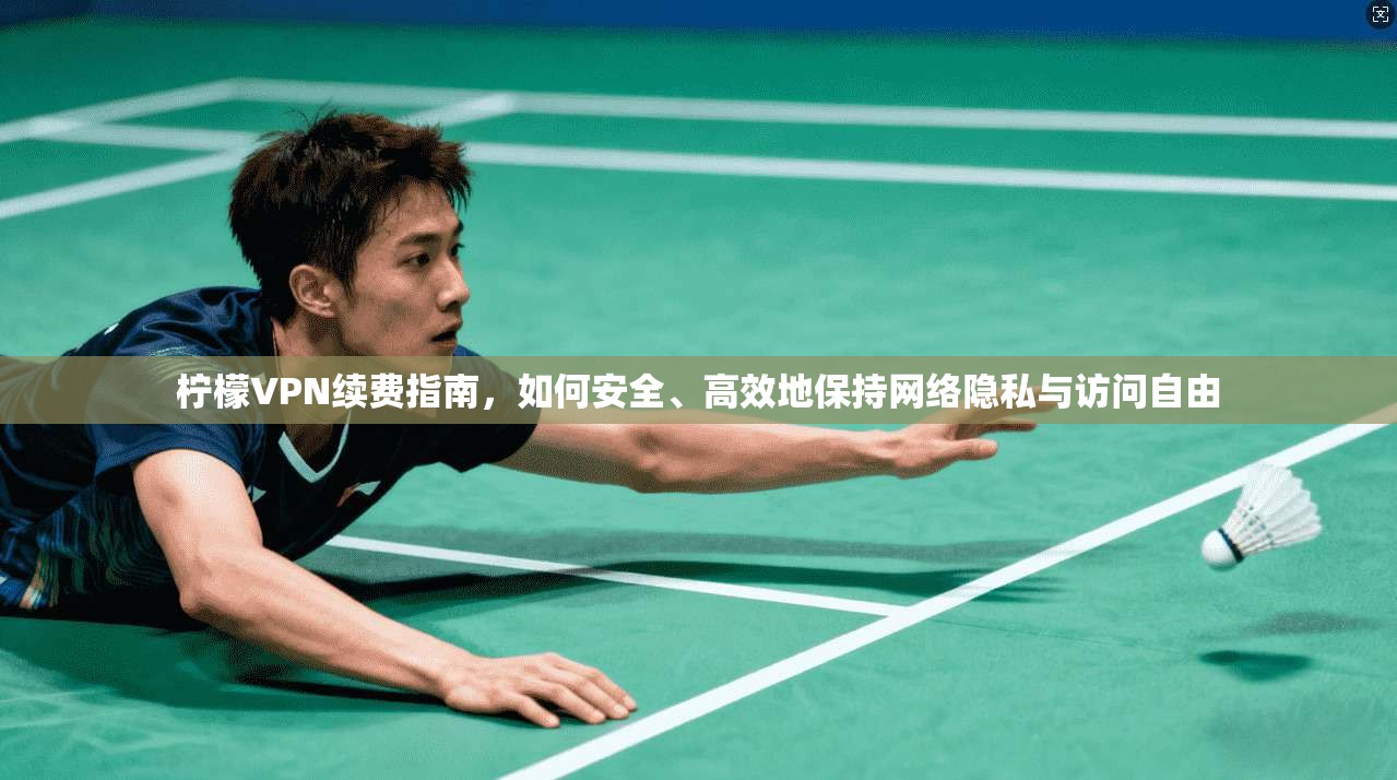柠檬VPN续费指南，如何安全、高效地保持网络隐私与访问自由