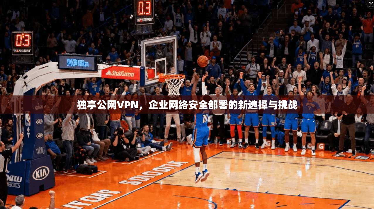 独享公网VPN，企业网络安全部署的新选择与挑战