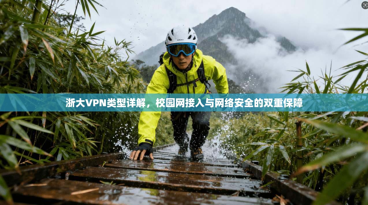 浙大VPN类型详解，校园网接入与网络安全的双重保障