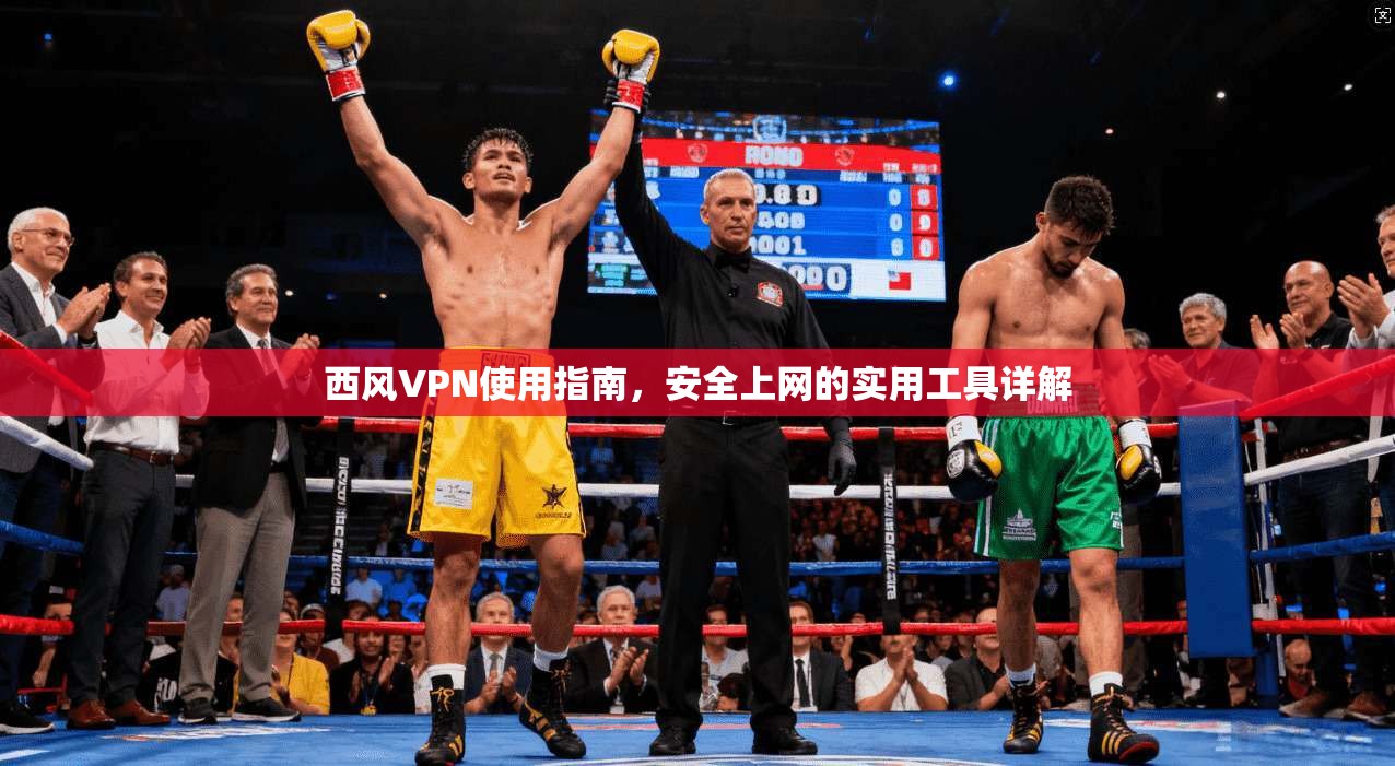 西风VPN使用指南，安全上网的实用工具详解