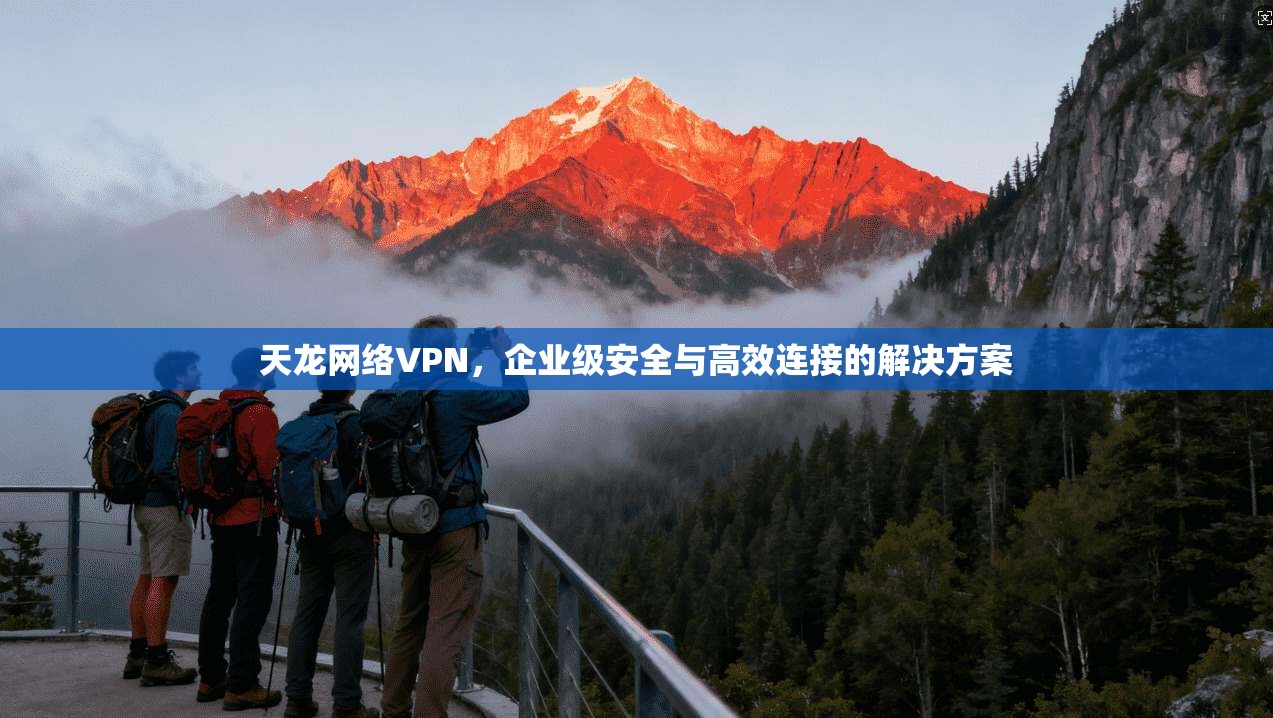 天龙网络VPN，企业级安全与高效连接的解决方案