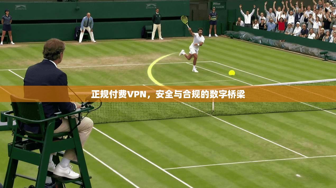 正规付费VPN，安全与合规的数字桥梁