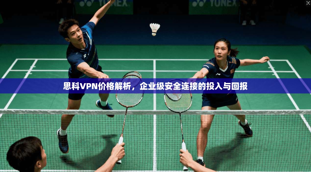 思科VPN价格解析，企业级安全连接的投入与回报