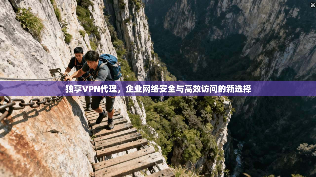 独享VPN代理，企业网络安全与高效访问的新选择