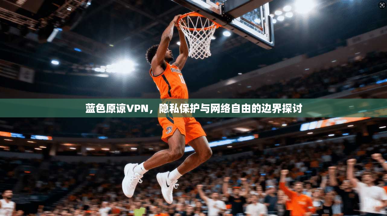 蓝色原谅VPN，隐私保护与网络自由的边界探讨