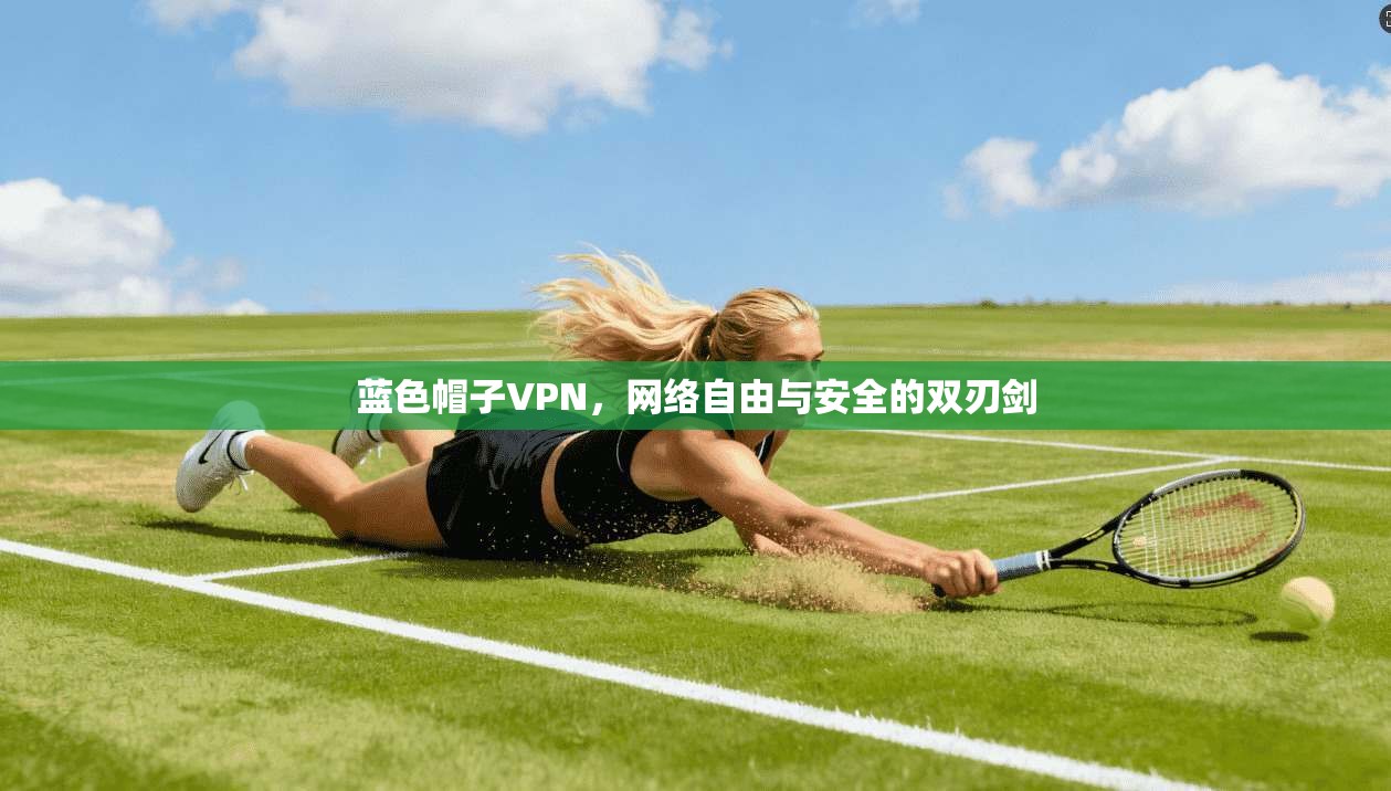 蓝色帽子VPN，网络自由与安全的双刃剑