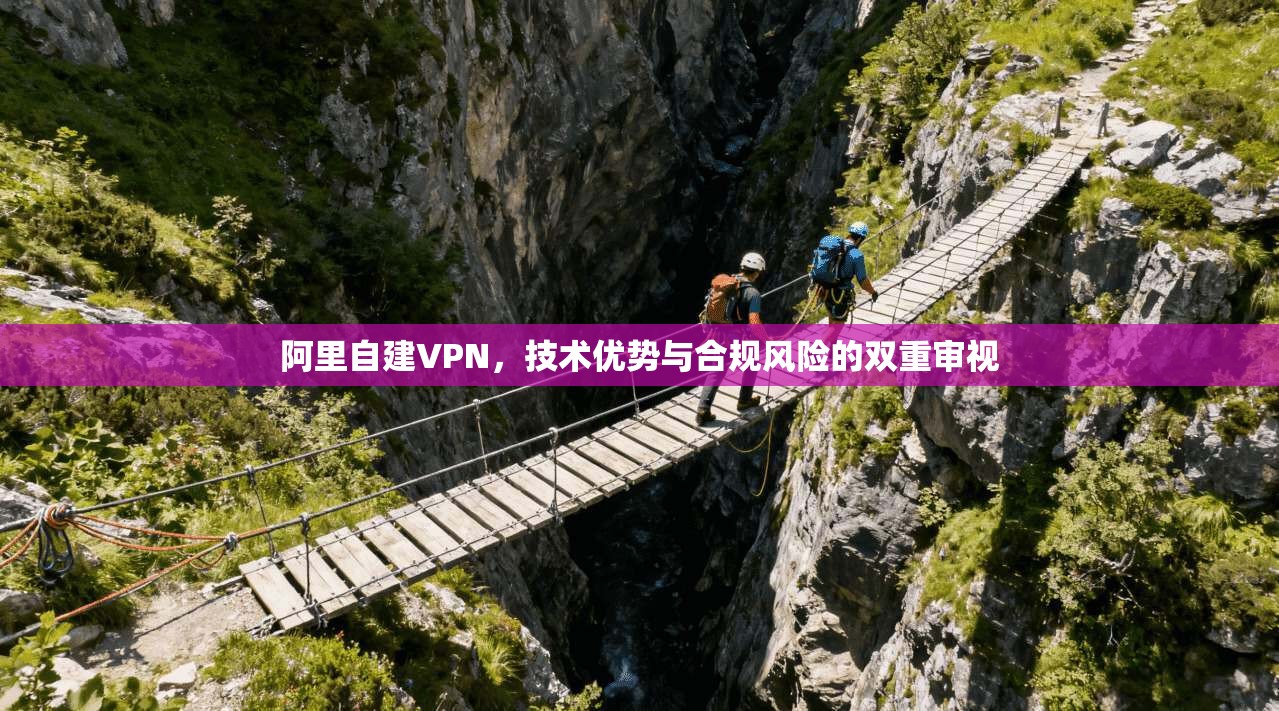 阿里自建VPN，技术优势与合规风险的双重审视