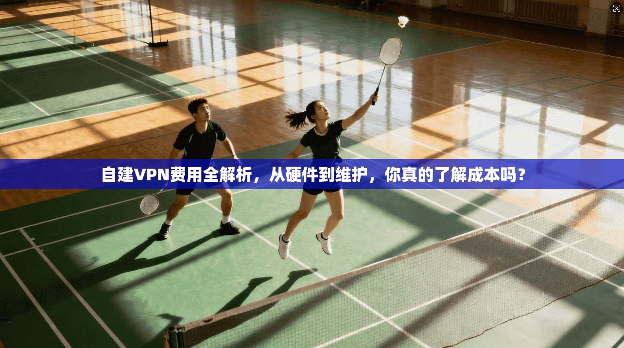 自建VPN费用全解析，从硬件到维护，你真的了解成本吗？