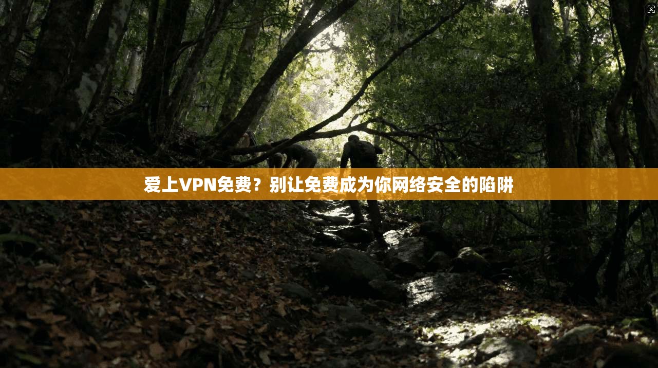 爱上VPN免费？别让免费成为你网络安全的陷阱