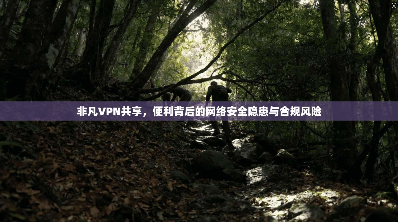 非凡VPN共享，便利背后的网络安全隐患与合规风险