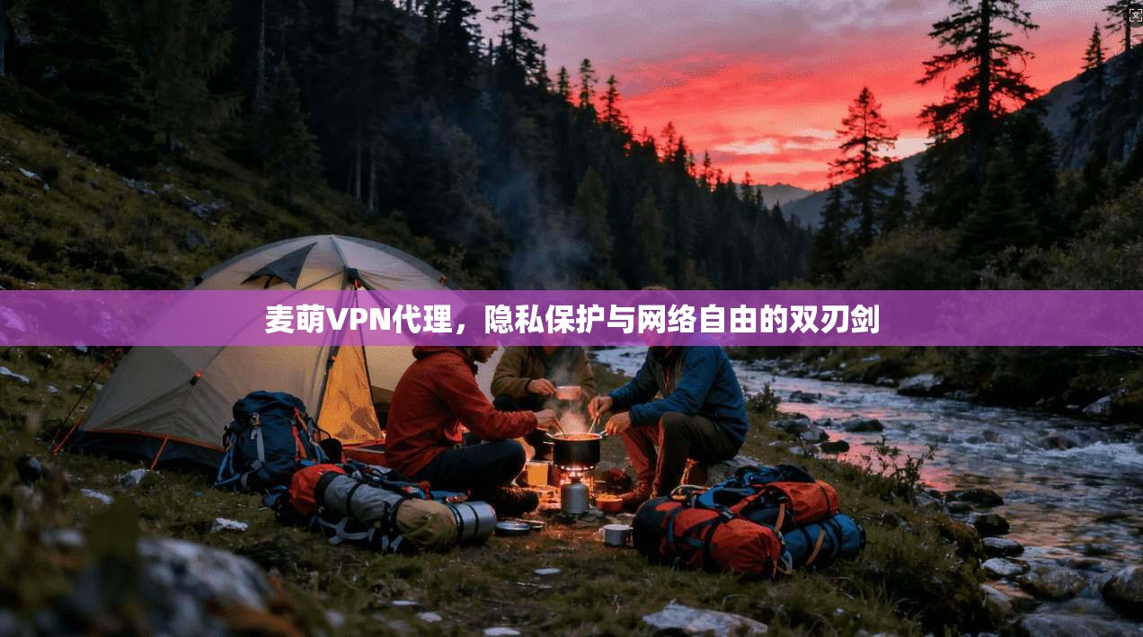 麦萌VPN代理，隐私保护与网络自由的双刃剑