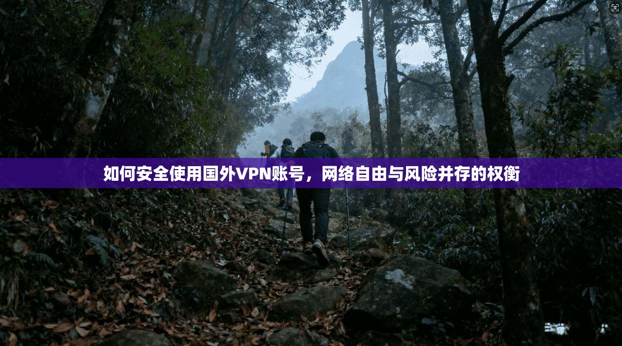 如何安全使用国外VPN账号，网络自由与风险并存的权衡