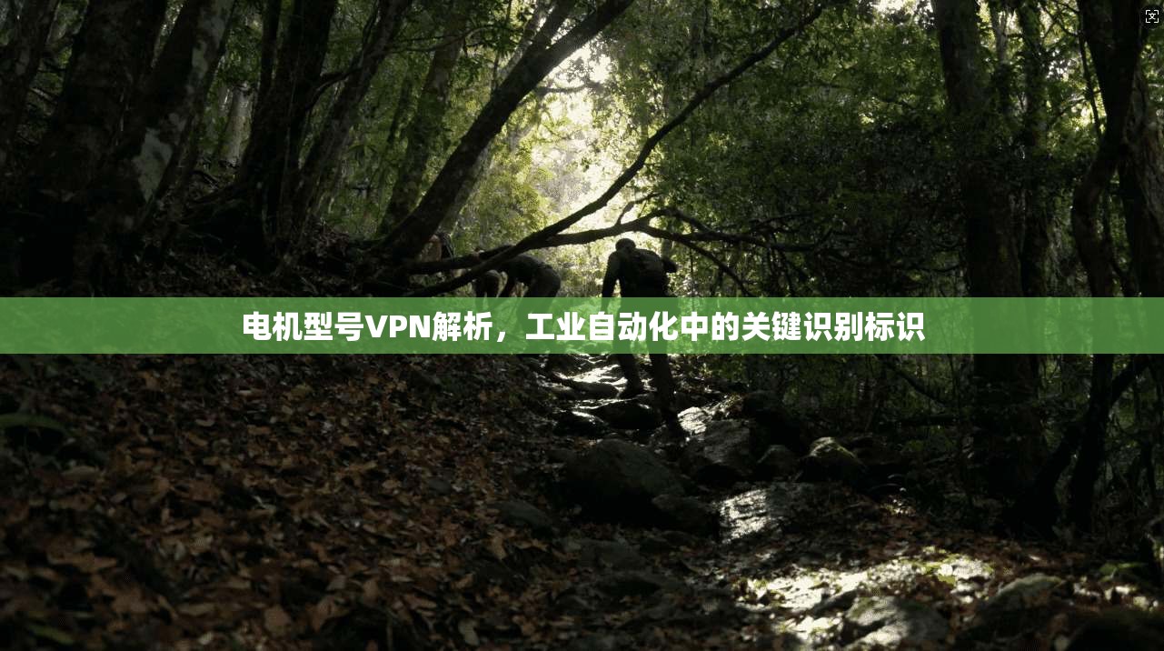 电机型号VPN解析，工业自动化中的关键识别标识