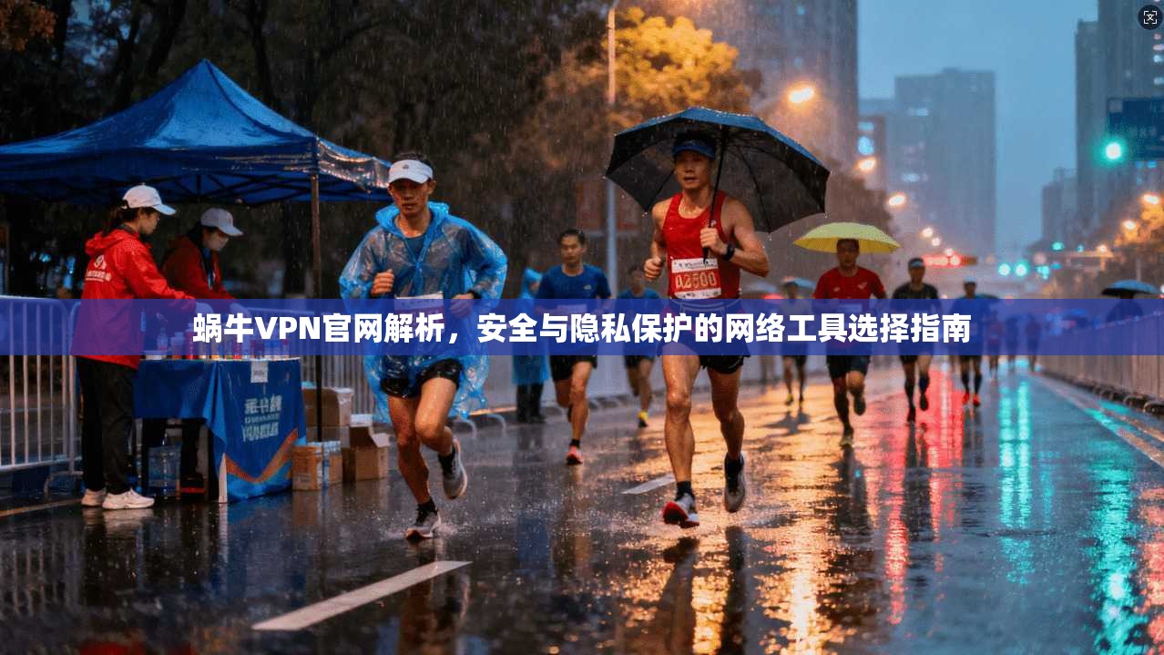 蜗牛VPN官网解析，安全与隐私保护的网络工具选择指南