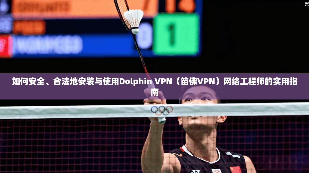 如何安全、合法地安装与使用Dolphin VPN（笛佛VPN）网络工程师的实用指南