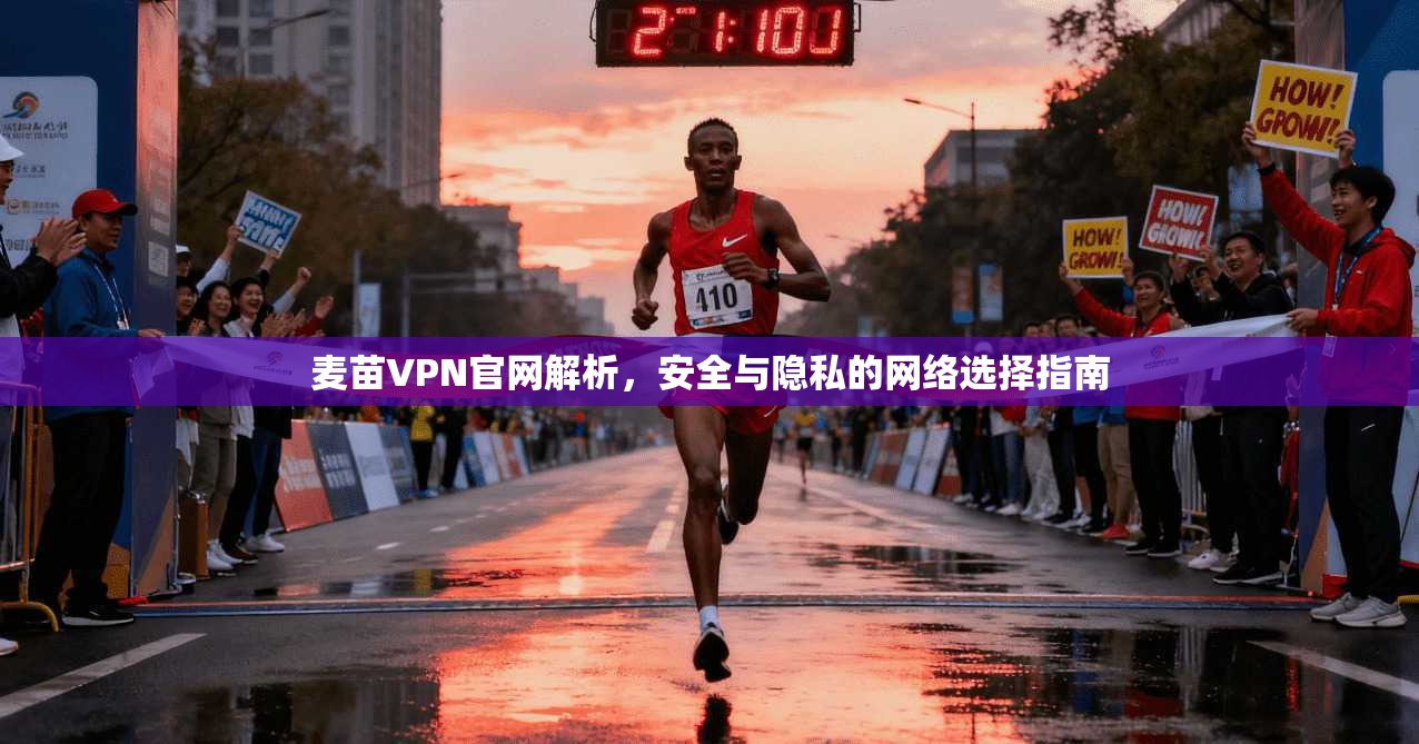 麦苗VPN官网解析，安全与隐私的网络选择指南