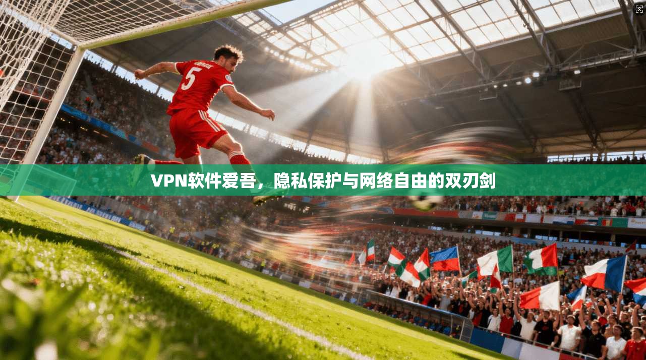 VPN软件爱吾，隐私保护与网络自由的双刃剑