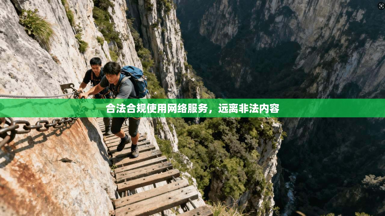 合法合规使用网络服务，远离非法内容