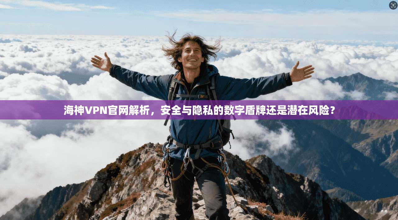 海神VPN官网解析，安全与隐私的数字盾牌还是潜在风险？