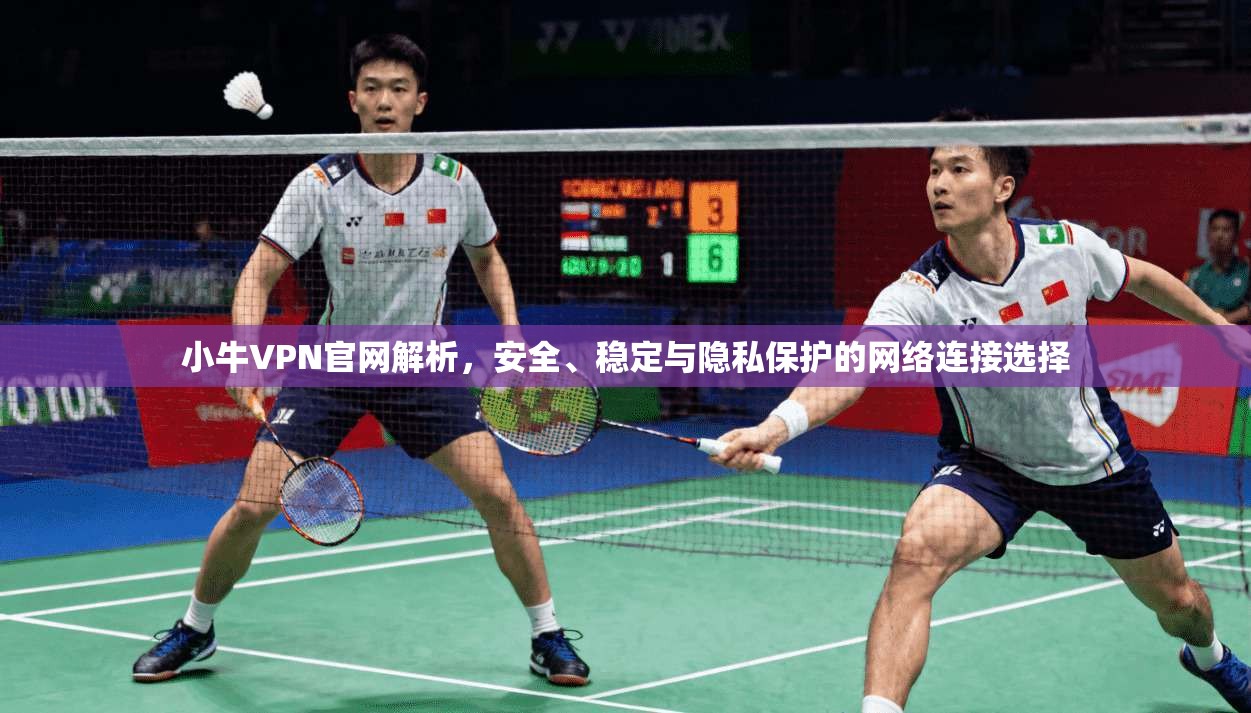 小牛VPN官网解析，安全、稳定与隐私保护的网络连接选择