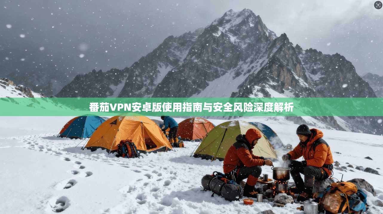 番茄VPN安卓版使用指南与安全风险深度解析