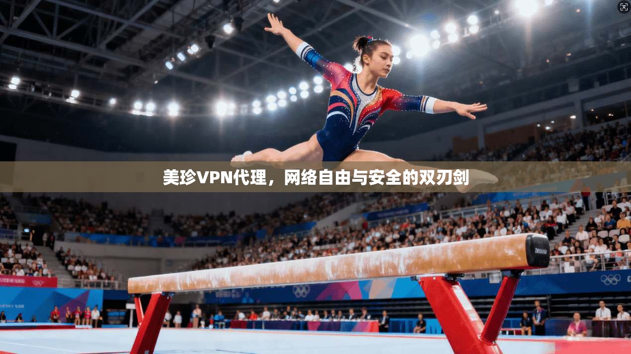 美珍VPN代理，网络自由与安全的双刃剑