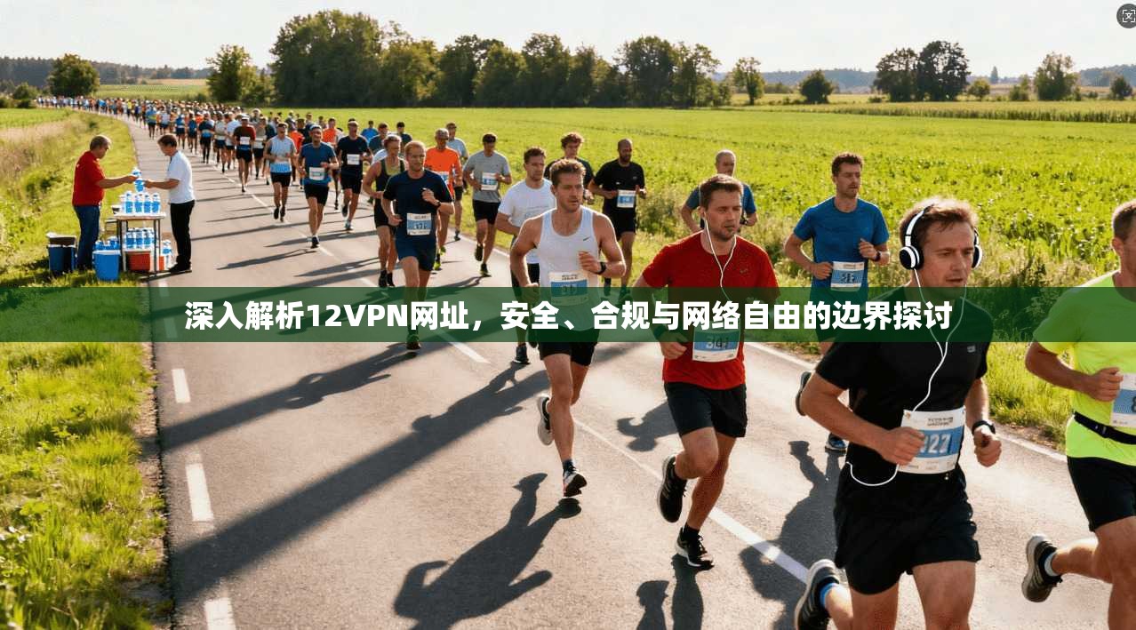 深入解析12VPN网址，安全、合规与网络自由的边界探讨