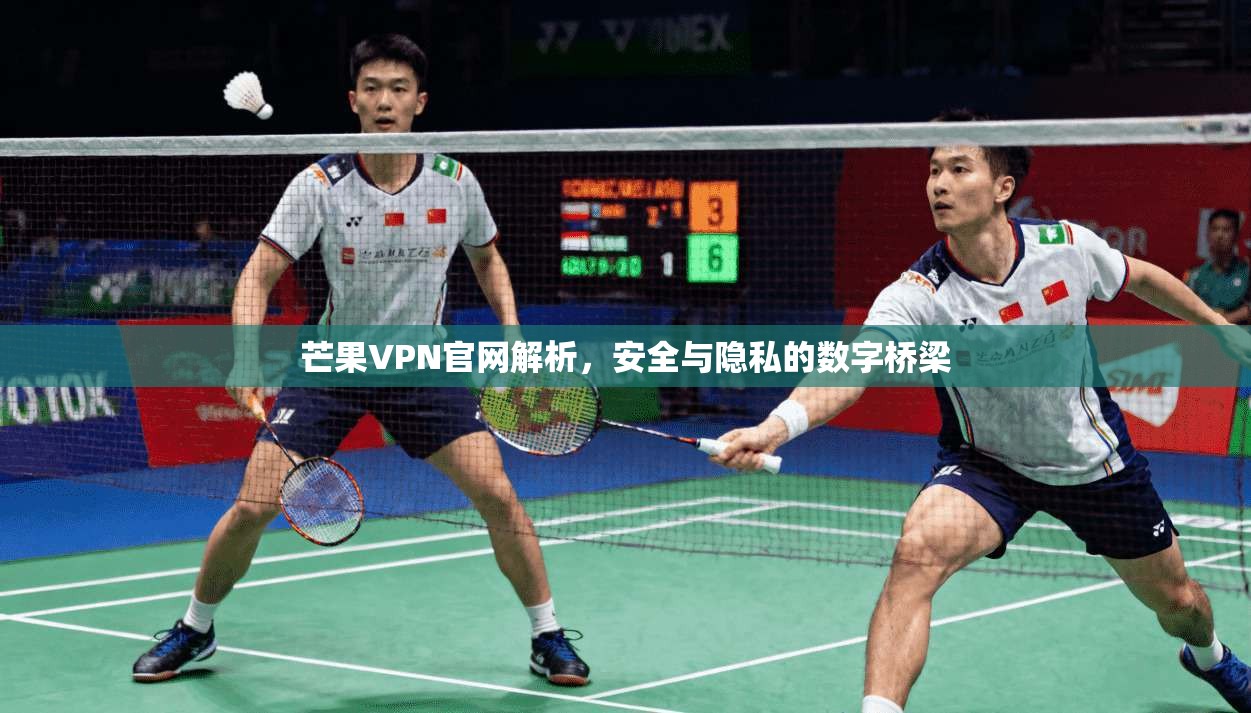 芒果VPN官网解析，安全与隐私的数字桥梁