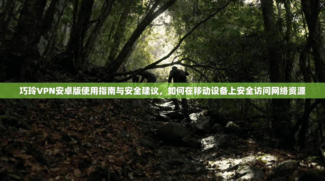 巧玲VPN安卓版使用指南与安全建议，如何在移动设备上安全访问网络资源