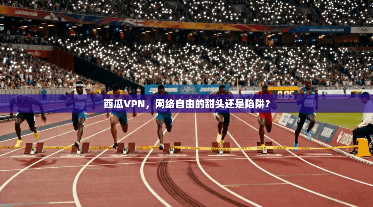 西瓜VPN，网络自由的甜头还是陷阱？