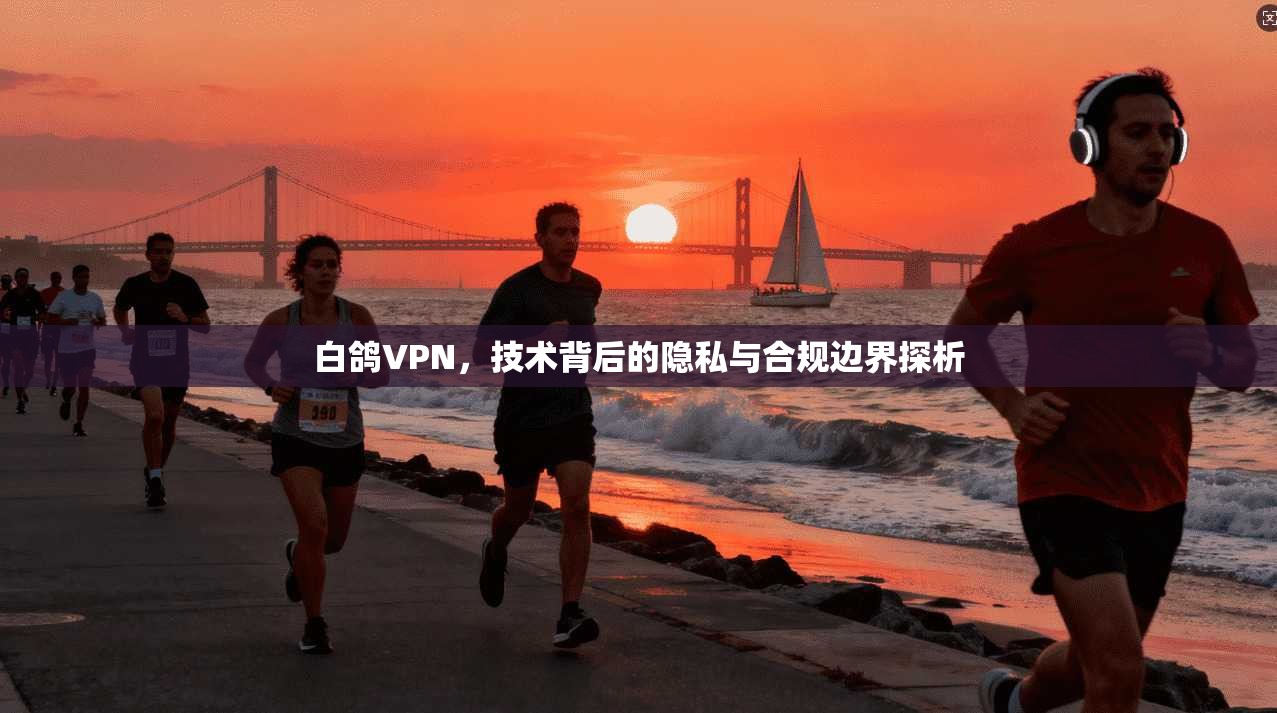 白鸽VPN，技术背后的隐私与合规边界探析