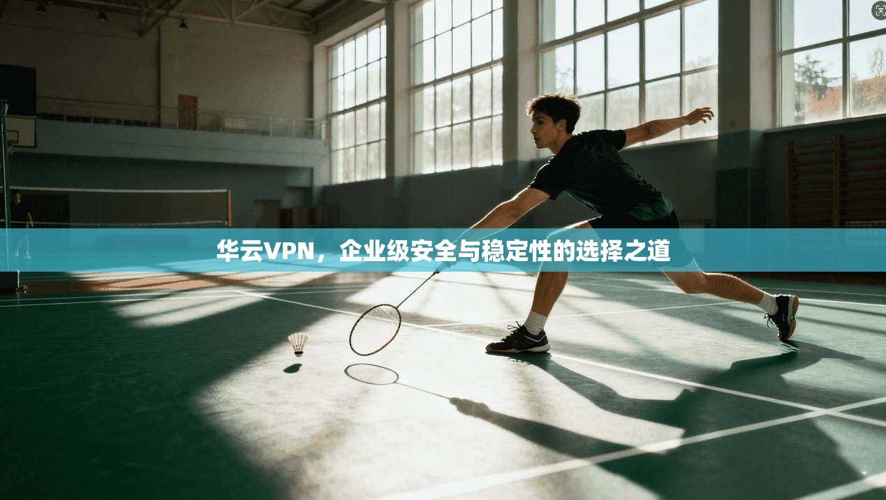 华云VPN，企业级安全与稳定性的选择之道
