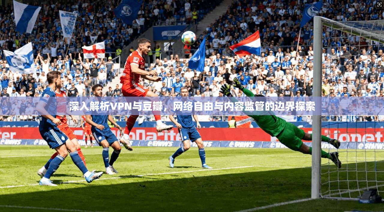 深入解析VPN与豆瓣，网络自由与内容监管的边界探索