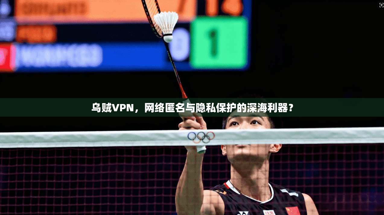 乌贼VPN，网络匿名与隐私保护的深海利器？