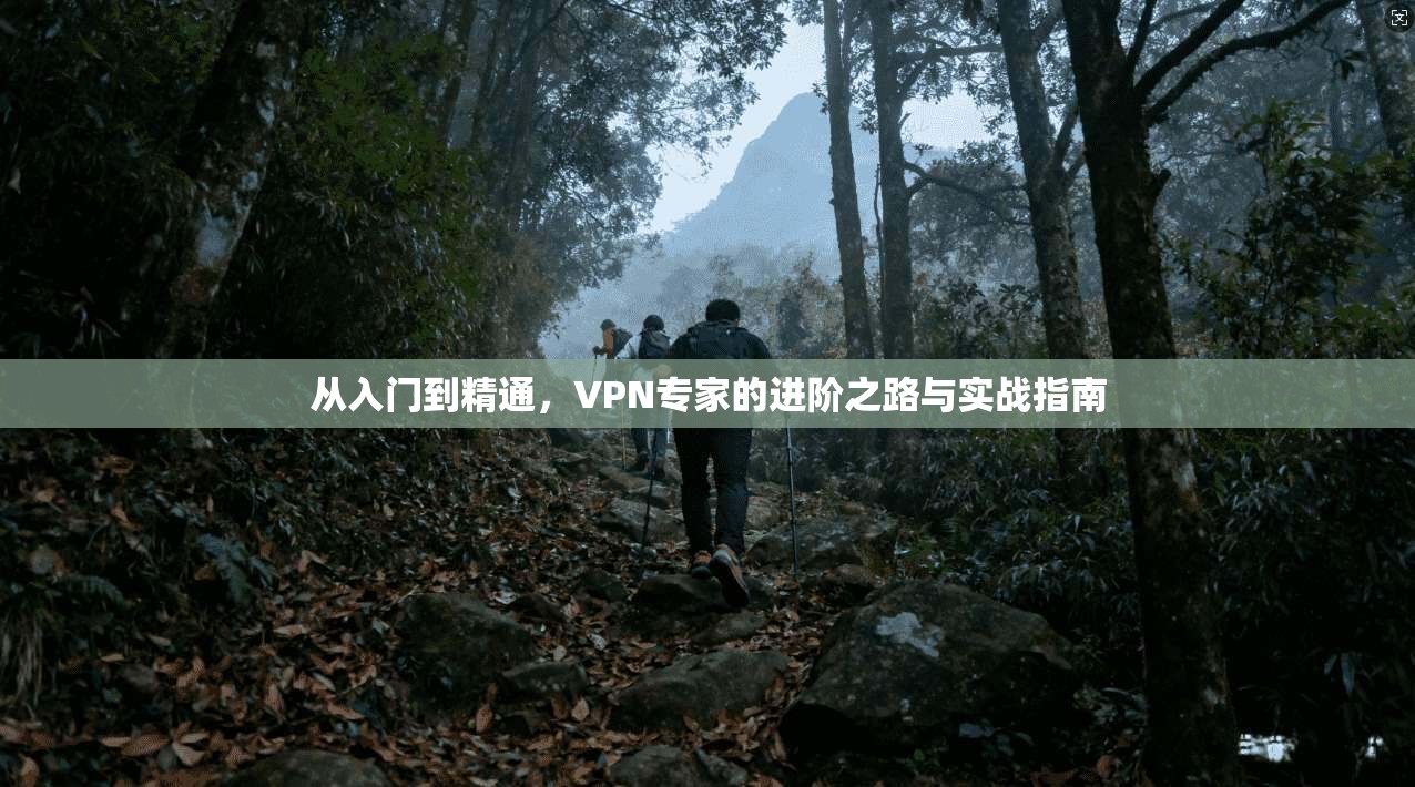 从入门到精通，VPN专家的进阶之路与实战指南