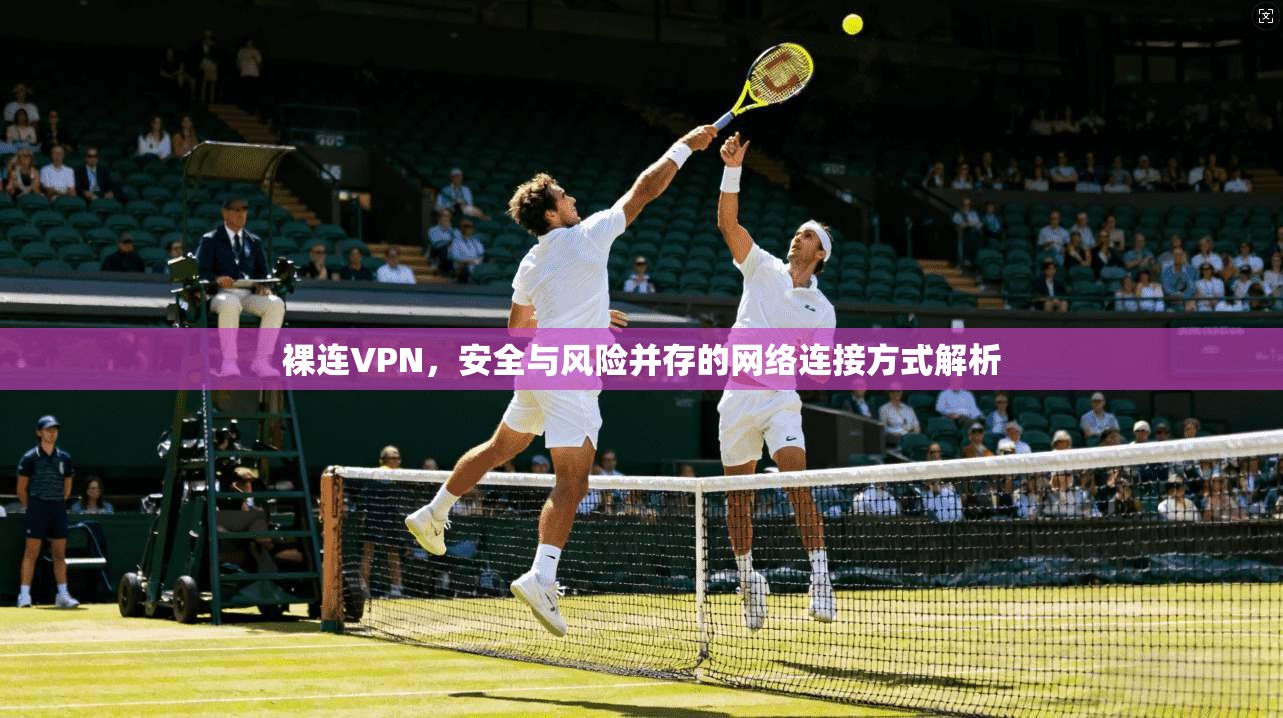 裸连VPN，安全与风险并存的网络连接方式解析