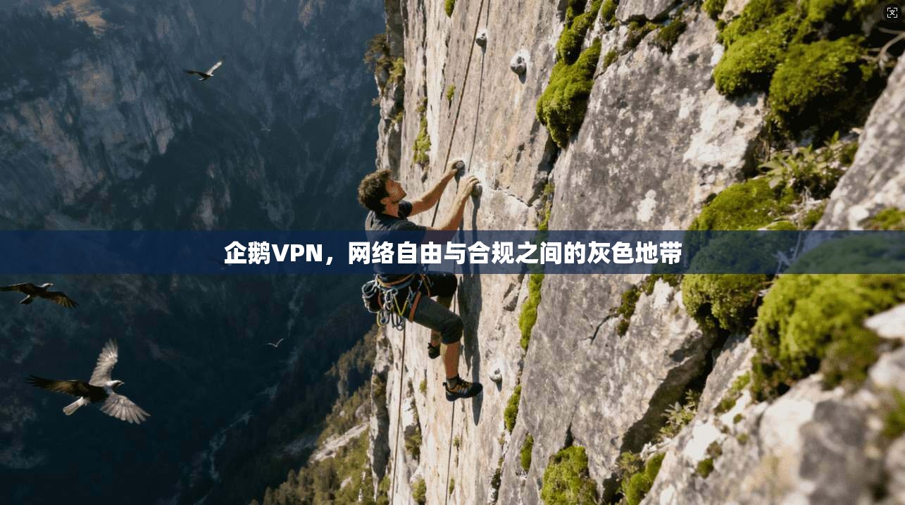 企鹅VPN，网络自由与合规之间的灰色地带