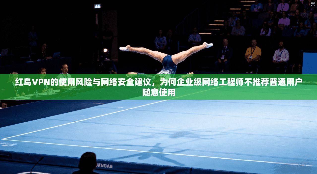 红鸟VPN的使用风险与网络安全建议，为何企业级网络工程师不推荐普通用户随意使用