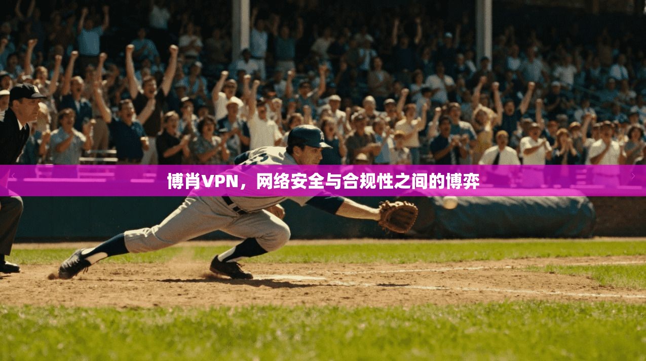 博肖VPN，网络安全与合规性之间的博弈
