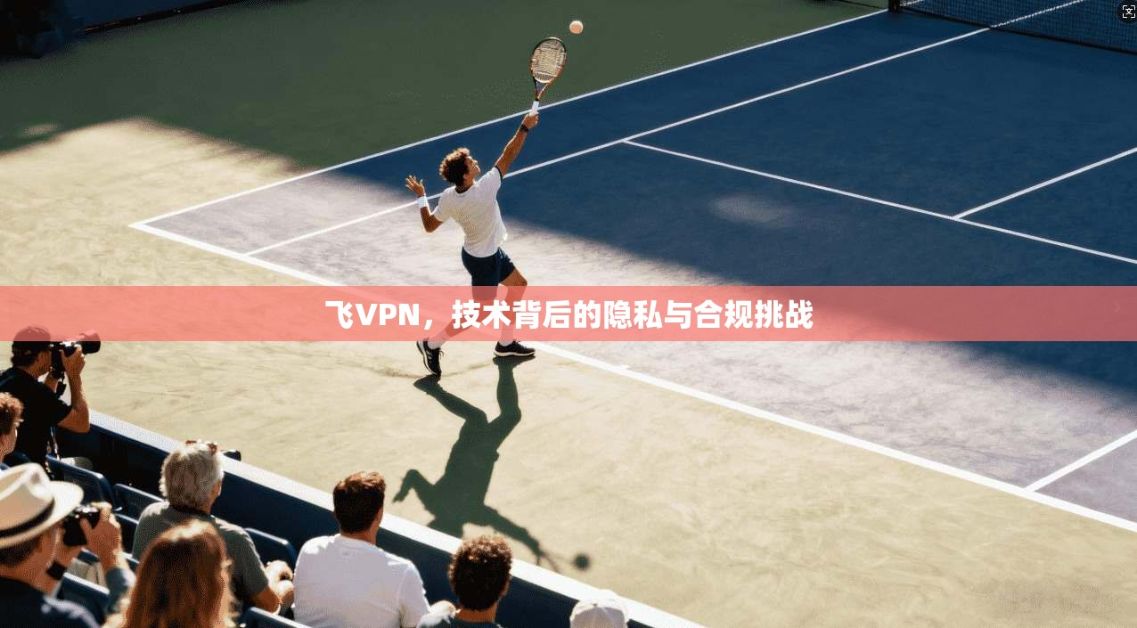 飞VPN，技术背后的隐私与合规挑战