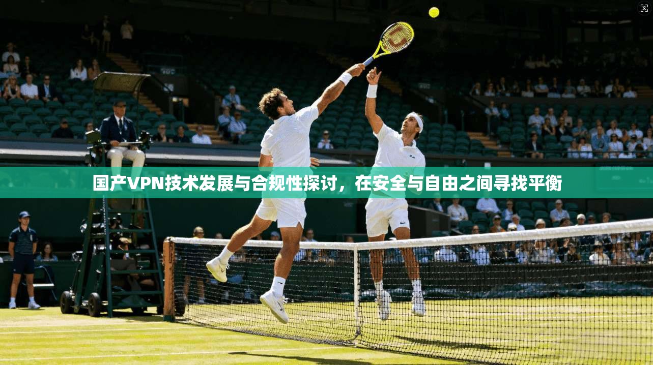 国产VPN技术发展与合规性探讨，在安全与自由之间寻找平衡